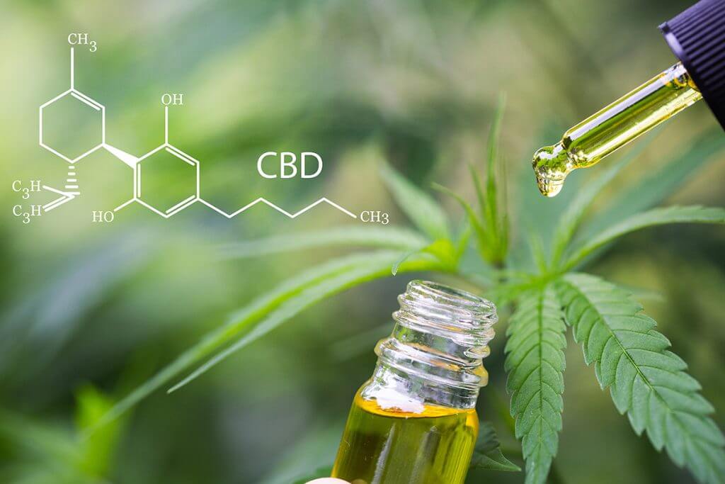 CBD Oil Basics