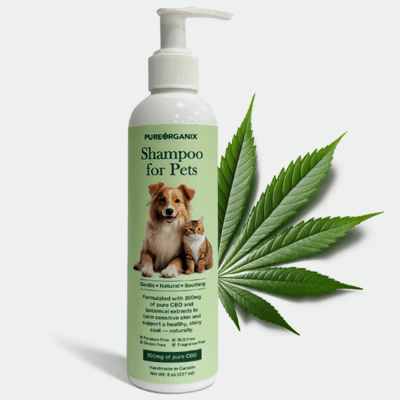 CBD Pet Shampoo
